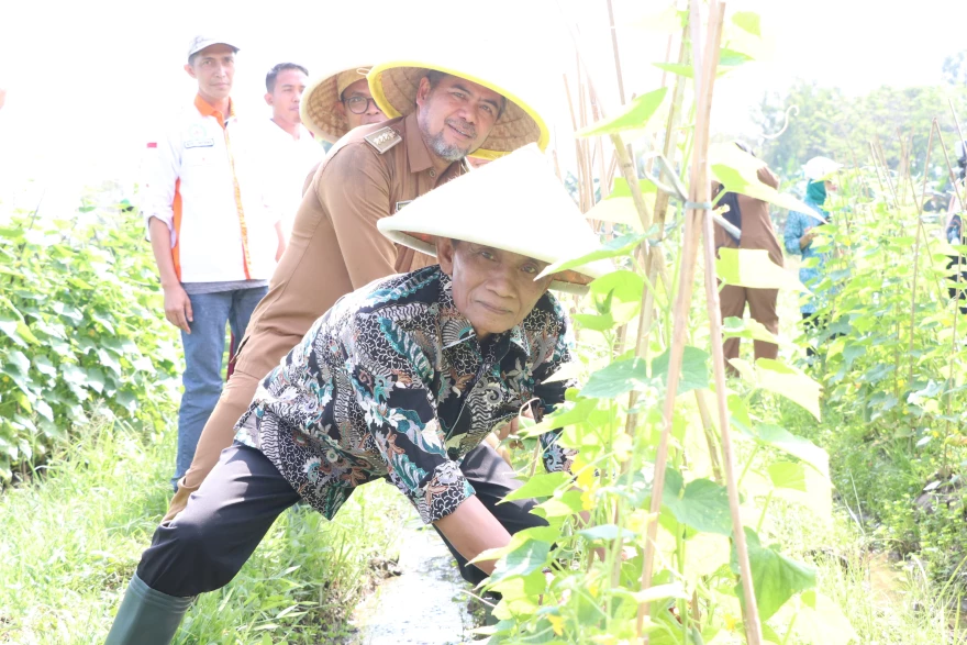 Revolusi Hijau di Sukadami: BUMDes Maniloka Gaungkan Kemandirian Pangan Berbasis Potensi Lokal